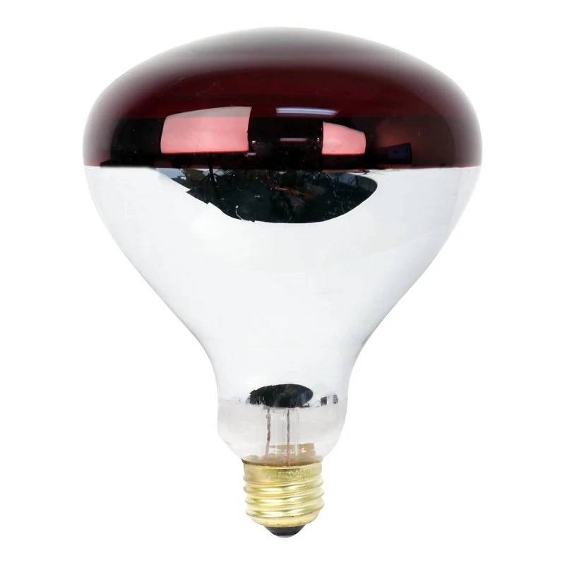 celebrationhardware3756006