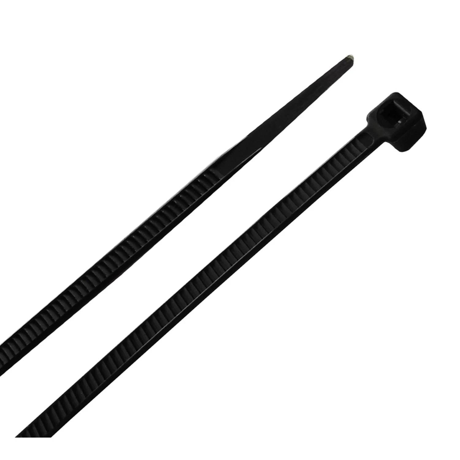 celebrationhardware4040993