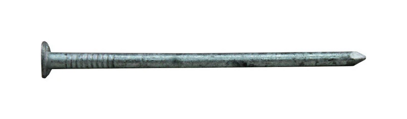 celebrationhardware4087320