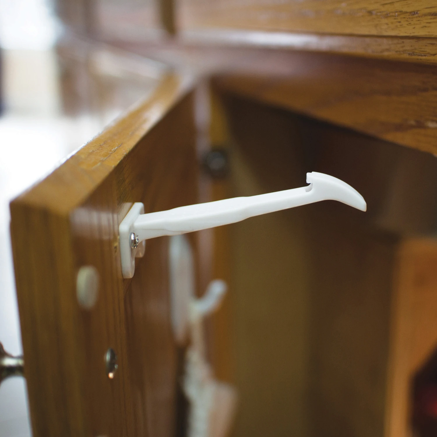 celebrationhardware4179615