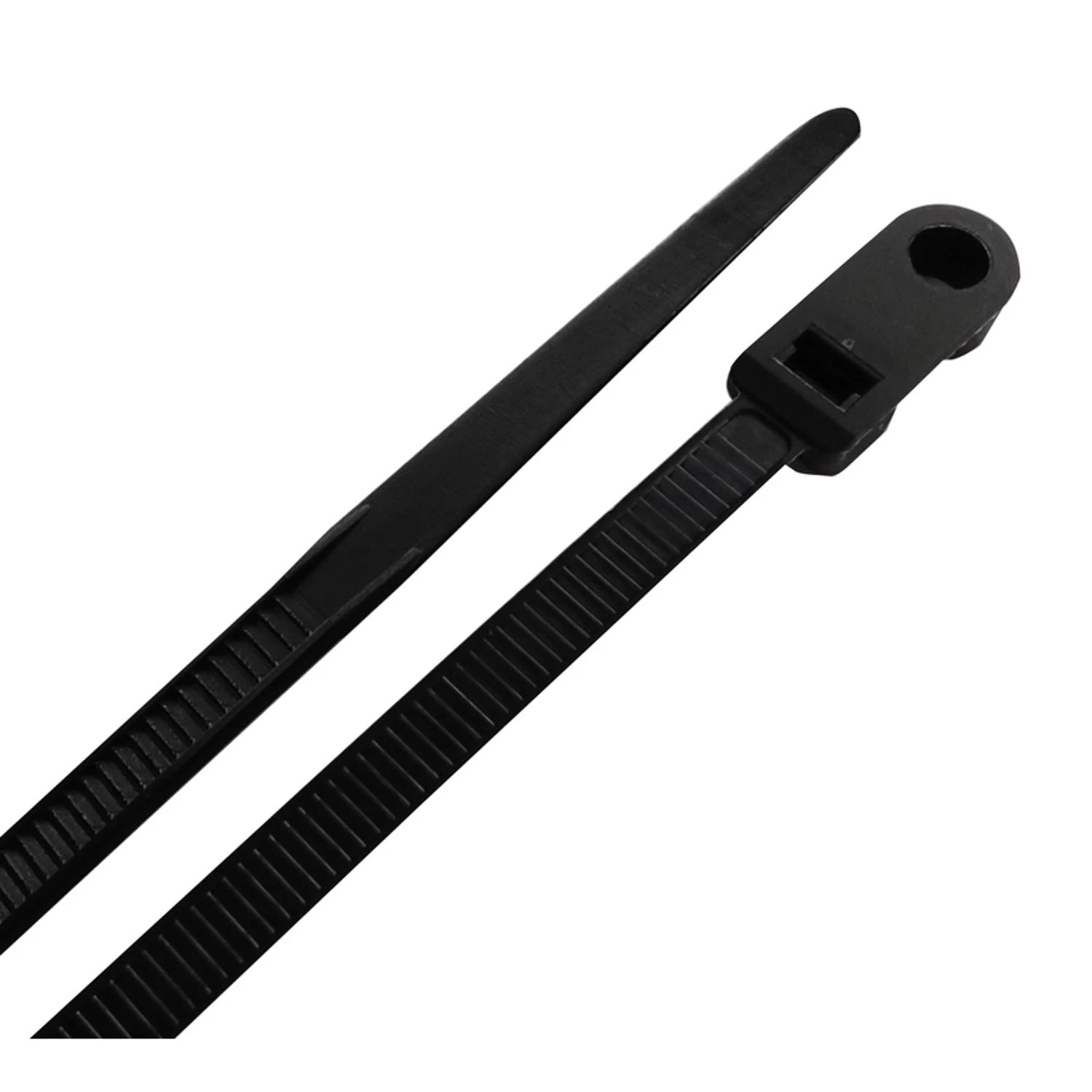 celebrationhardware4563449