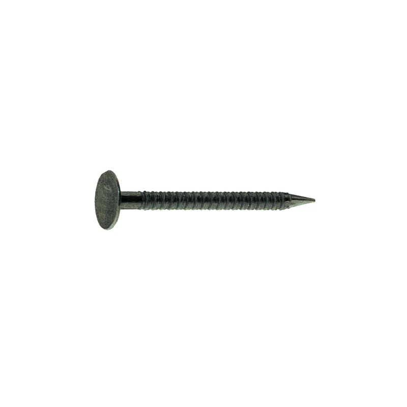celebrationhardware4736915
