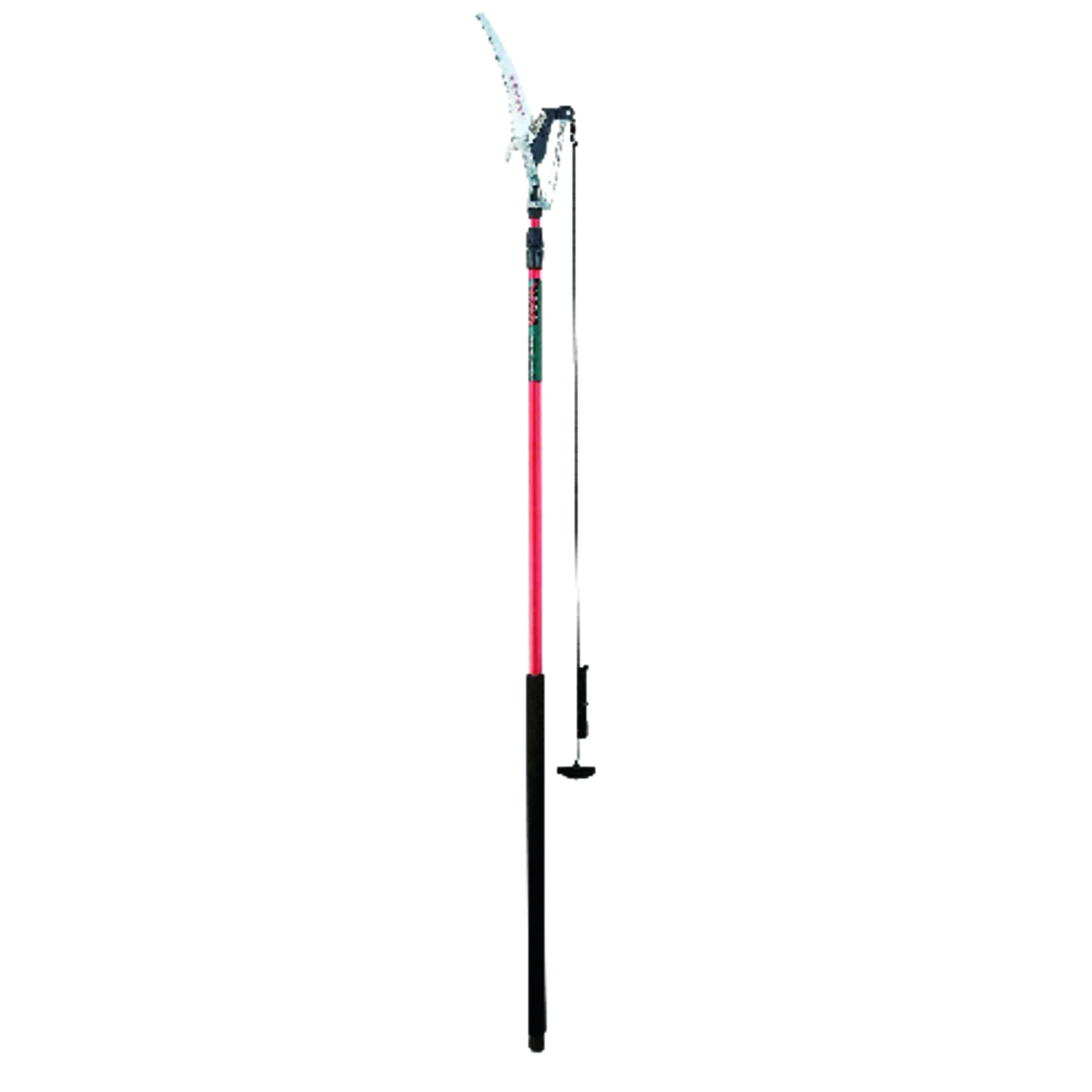 celebrationhardware4920225