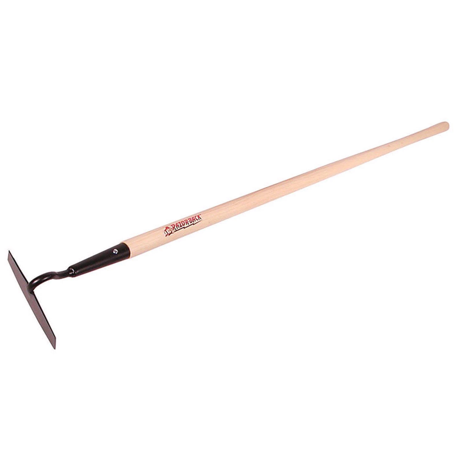 celebrationhardware4930435