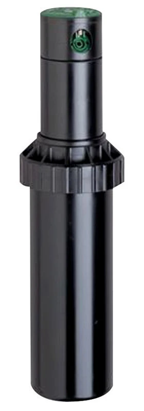 celebrationhardware4932351