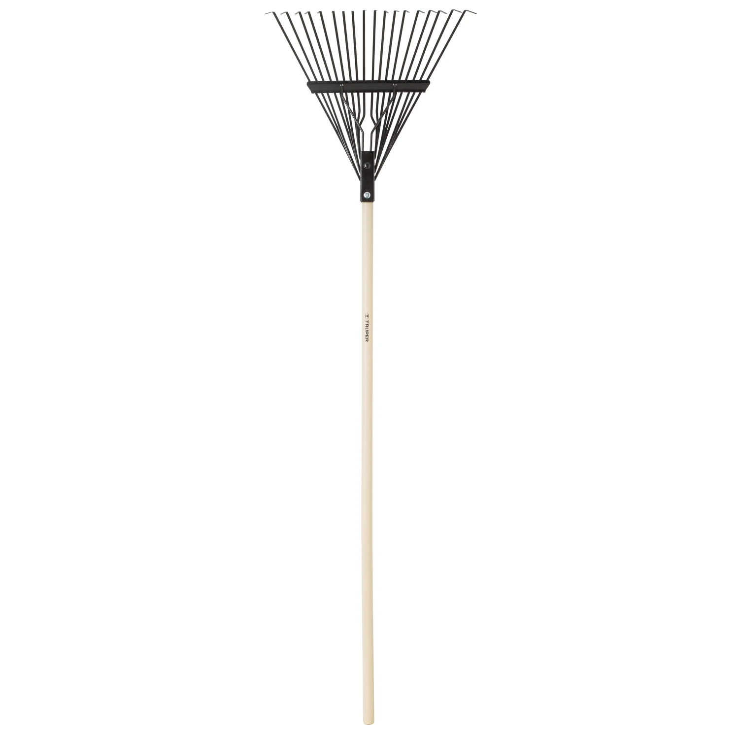 celebrationhardware4933683