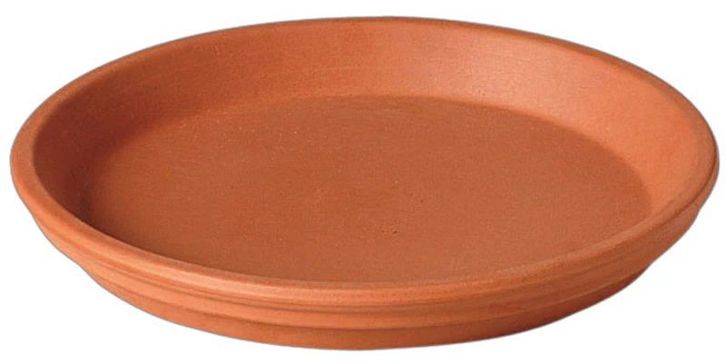celebrationhardware4958065