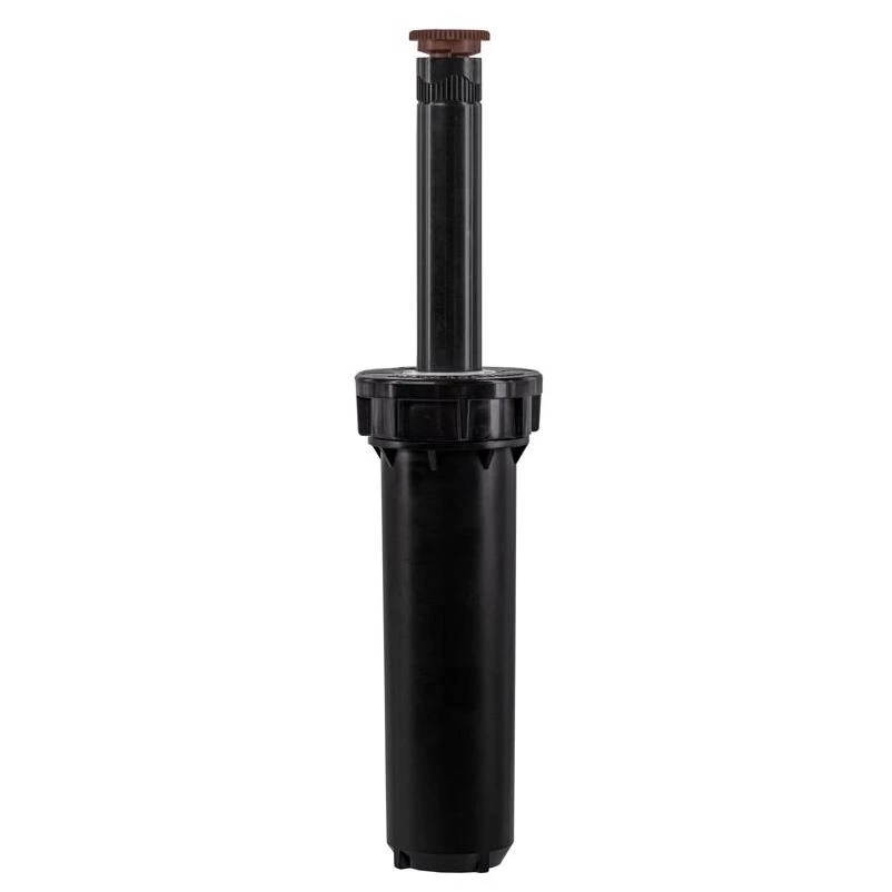 celebrationhardware5510618