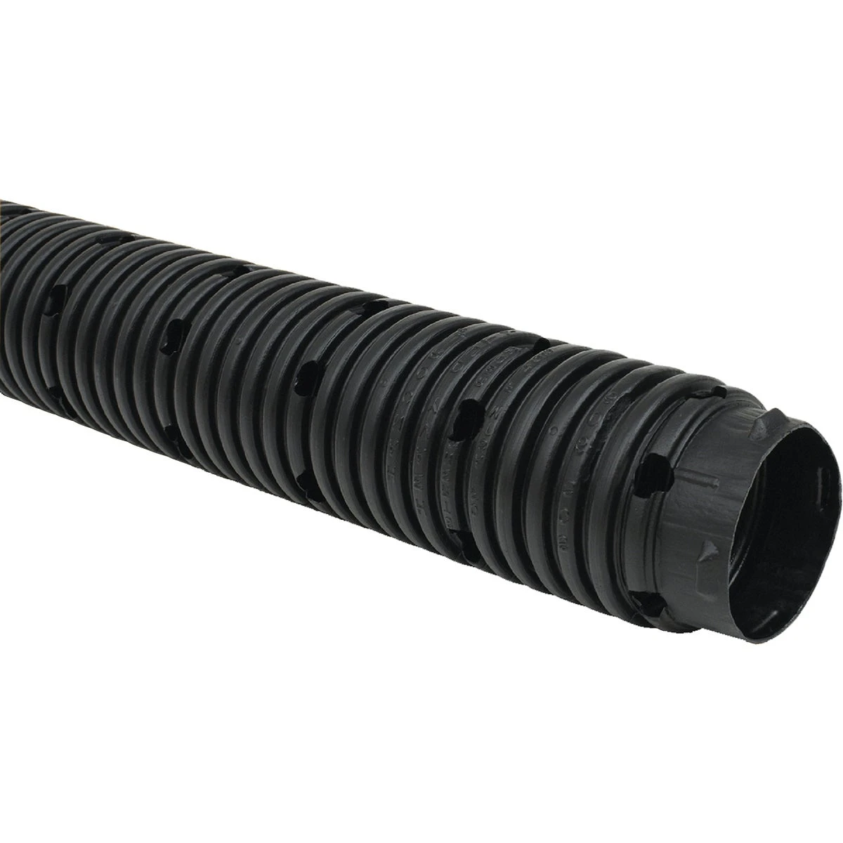 celebrationhardware5511499