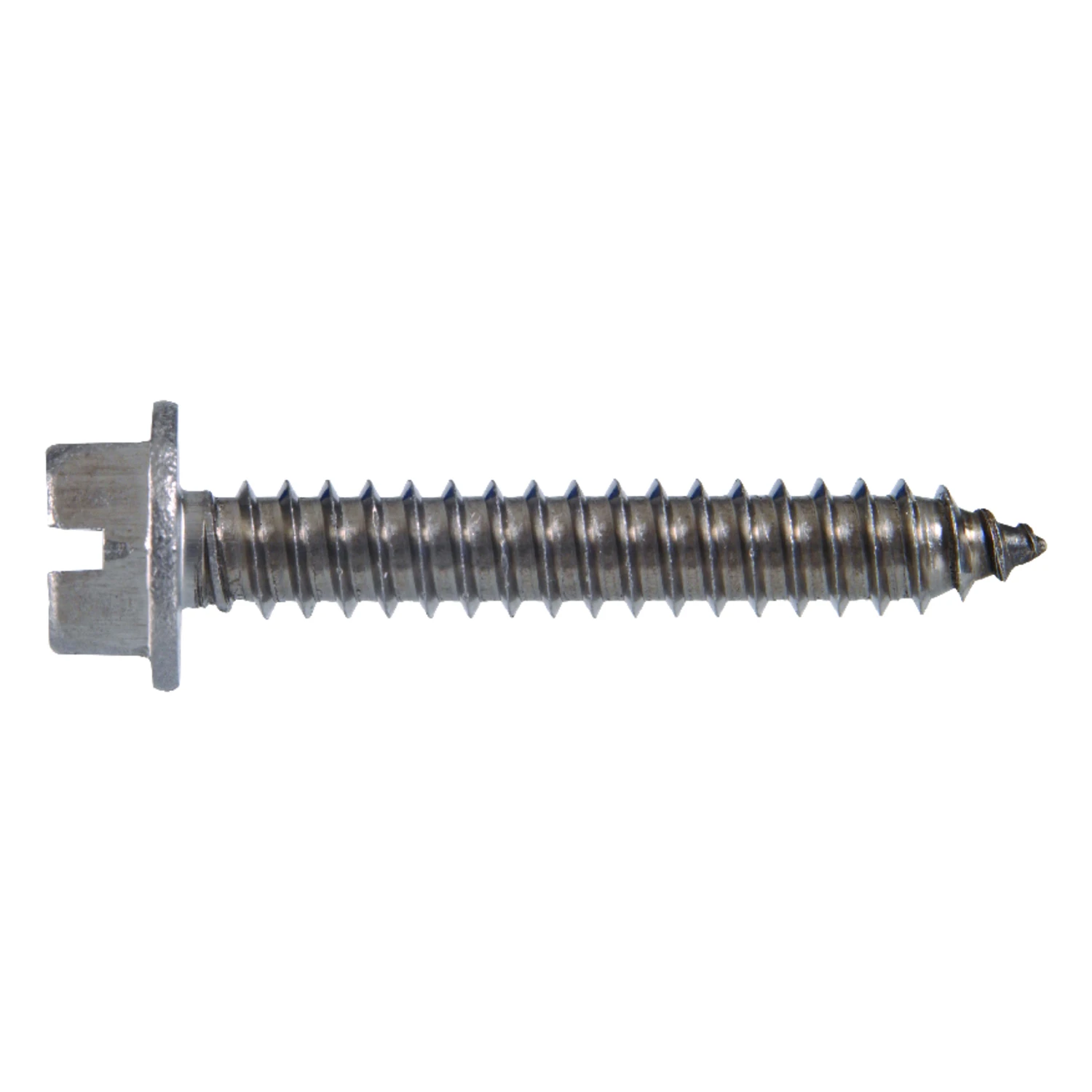 celebrationhardware5512870