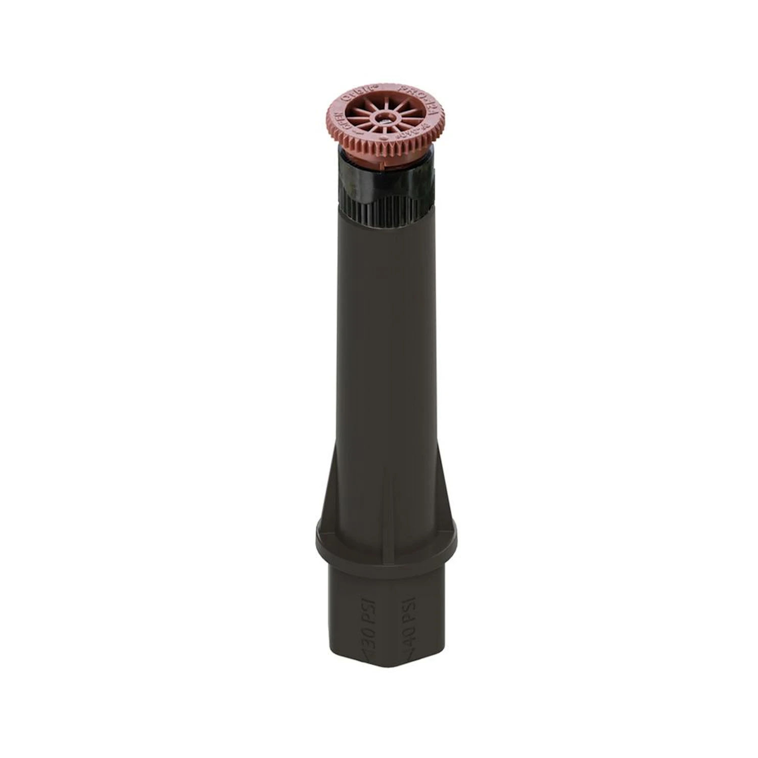 celebrationhardware5522540